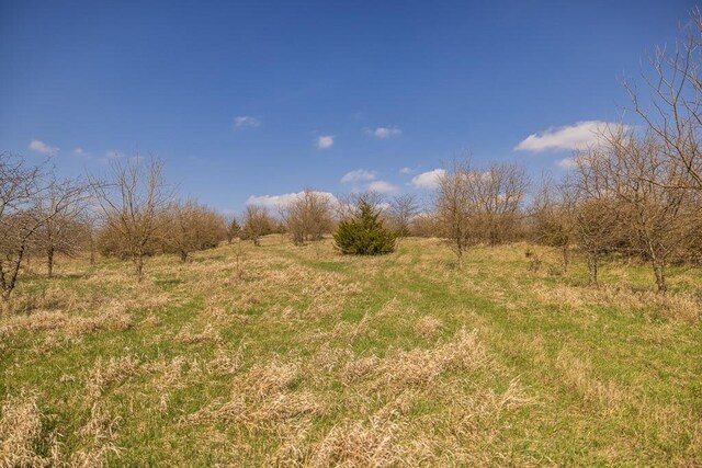 W Stateline Rd, Grant City, MO 64734 - photo 6