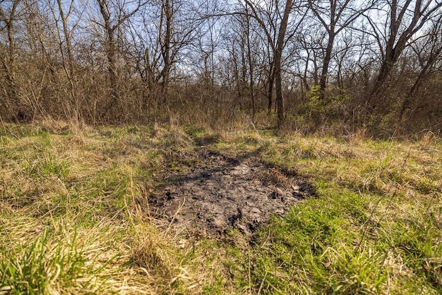 W Stateline Rd, Grant City, MO 64734 - photo 12
