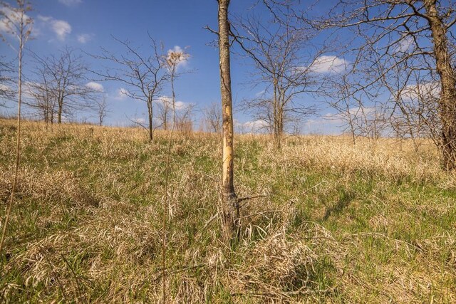 W Stateline Rd, Grant City, MO 64734 - photo 15