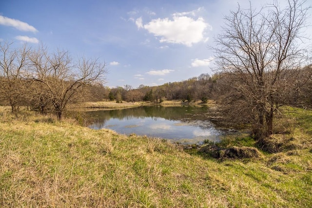 W Stateline Rd, Grant City, MO 64734 - photo 31