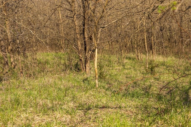 W Stateline Rd, Grant City, MO 64734 - photo 36