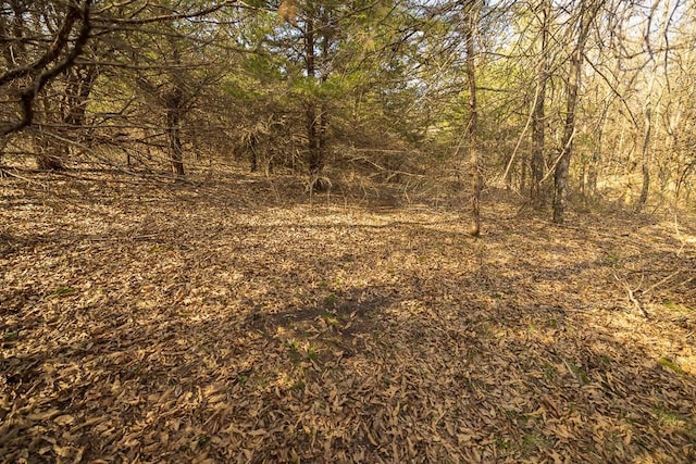 W Stateline Rd, Grant City, MO 64734 - photo 38