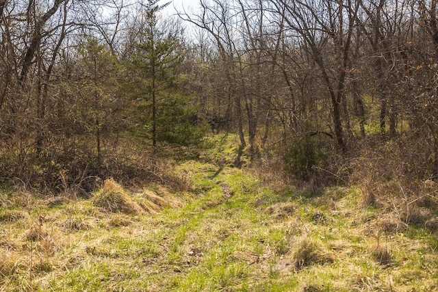 W Stateline Rd, Grant City, MO 64734 - photo 40