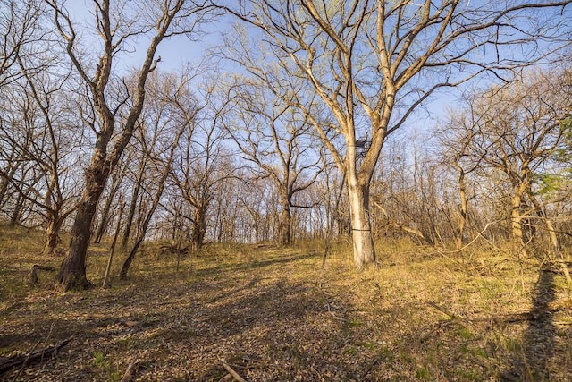 W Stateline Rd, Grant City, MO 64734 - photo 44
