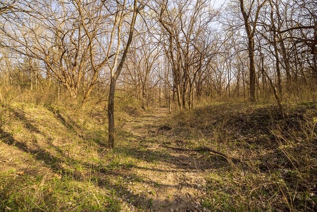 W Stateline Rd, Grant City, MO 64734 - photo 47