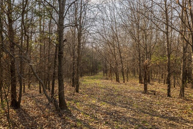 W Stateline Rd, Grant City, MO 64734 - photo 48