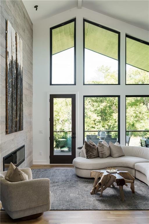 living room featuring a fireplace, wood finished floors, and high vaulted ceiling