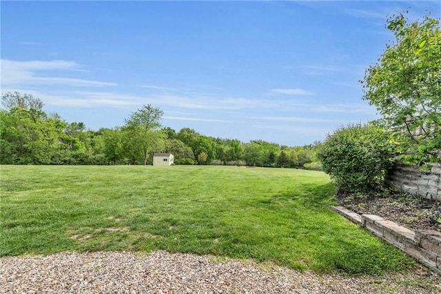 view of green lawn featuring a storage shed, an outbuilding, and a view of trees