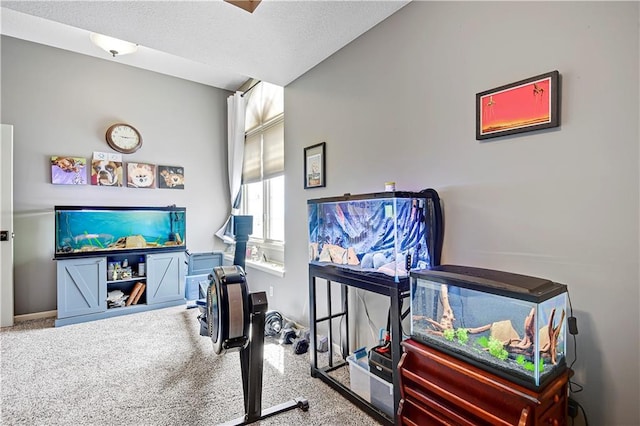 8904 NE 94th Pl, Kansas City, MO 64157 - home office featuring carpet
