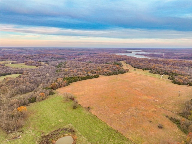 9535 NE 681st Rd, Lowry City, MO 64763 - photo 1