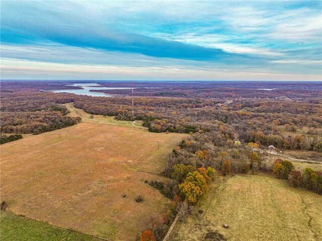 9535 NE 681st Rd, Lowry City, MO 64763 - photo 3