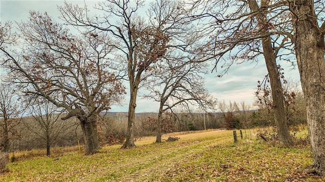 9535 NE 681st Rd, Lowry City, MO 64763 - photo 4