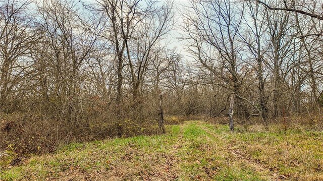 9535 NE 681st Rd, Lowry City, MO 64763 - photo 8