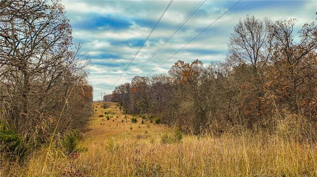 9535 NE 681st Rd, Lowry City, MO 64763 - photo 9