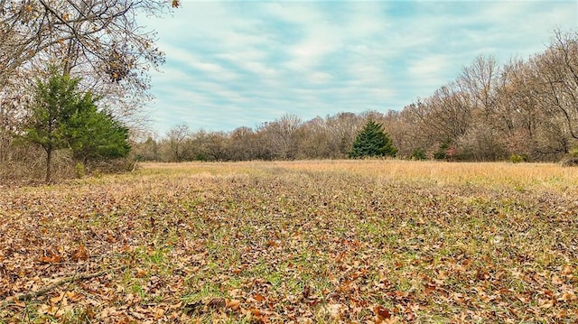 9535 NE 681st Rd, Lowry City, MO 64763 - photo 11