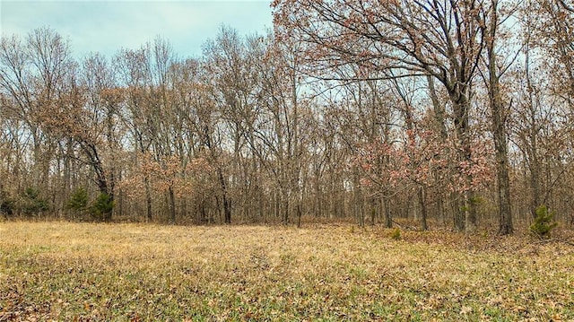 9535 NE 681st Rd, Lowry City, MO 64763 - photo 12