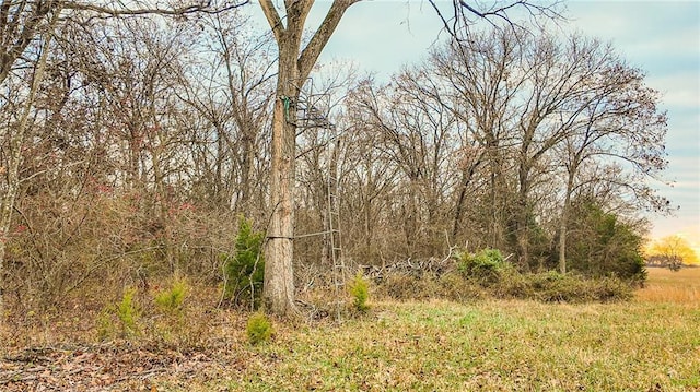 9535 NE 681st Rd, Lowry City, MO 64763 - photo 17
