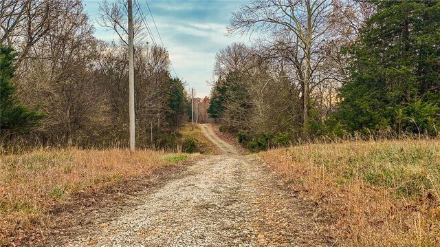 9535 NE 681st Rd, Lowry City, MO 64763 - photo 20