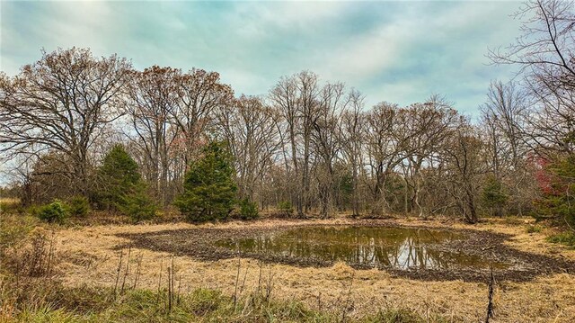 9535 NE 681st Rd, Lowry City, MO 64763 - photo 23