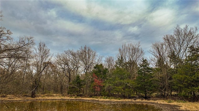 9535 NE 681st Rd, Lowry City, MO 64763 - photo 24
