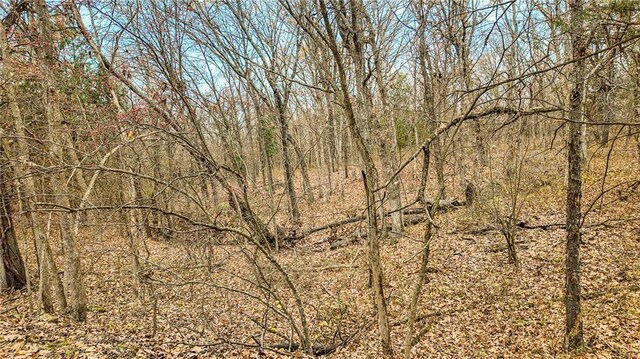 9535 NE 681st Rd, Lowry City, MO 64763 - photo 27