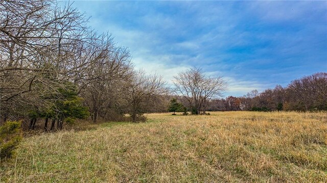 9535 NE 681st Rd, Lowry City, MO 64763 - photo 29