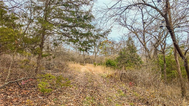 9535 NE 681st Rd, Lowry City, MO 64763 - photo 31