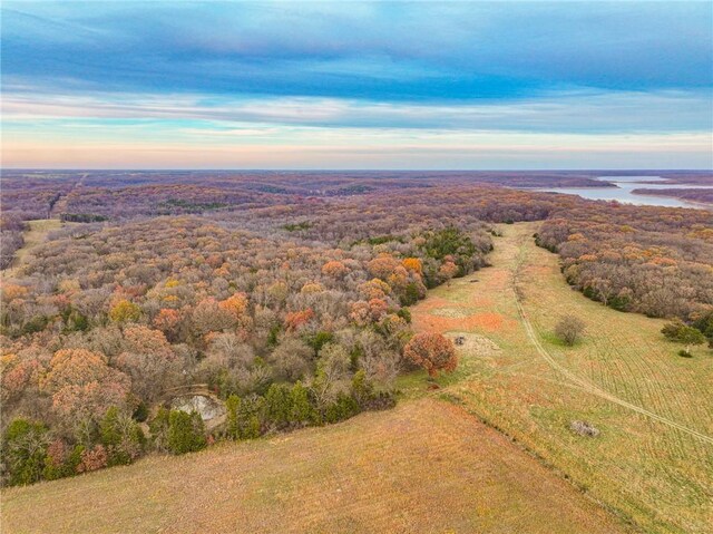 9535 NE 681st Rd, Lowry City, MO 64763 - photo 32