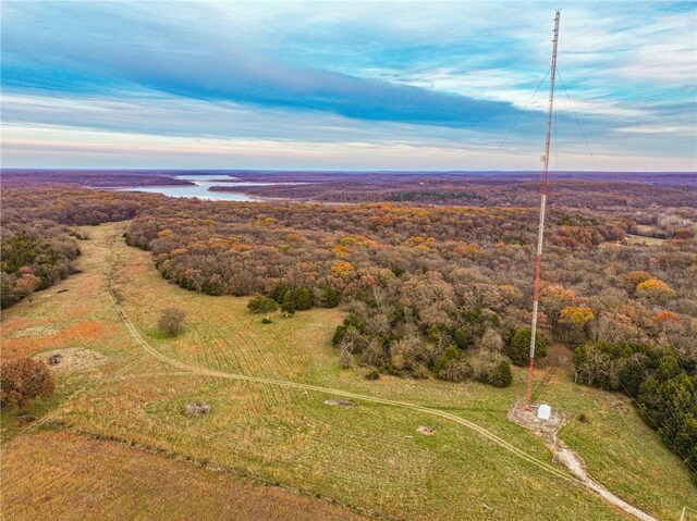 9535 NE 681st Rd, Lowry City, MO 64763 - photo 33