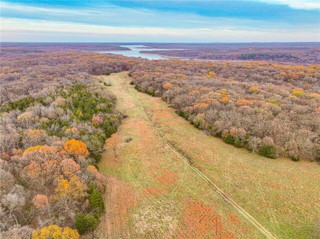 9535 NE 681st Rd, Lowry City, MO 64763 - photo 35
