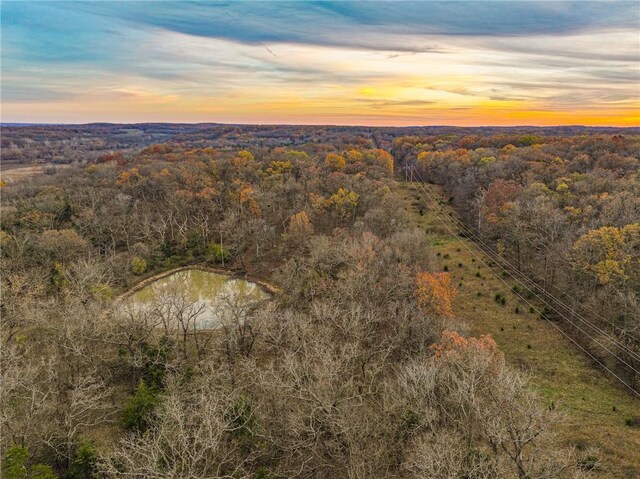 9535 NE 681st Rd, Lowry City, MO 64763 - photo 44