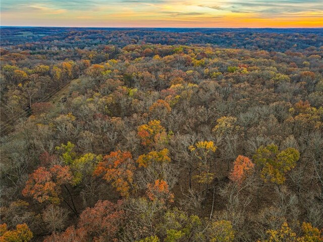 9535 NE 681st Rd, Lowry City, MO 64763 - photo 47