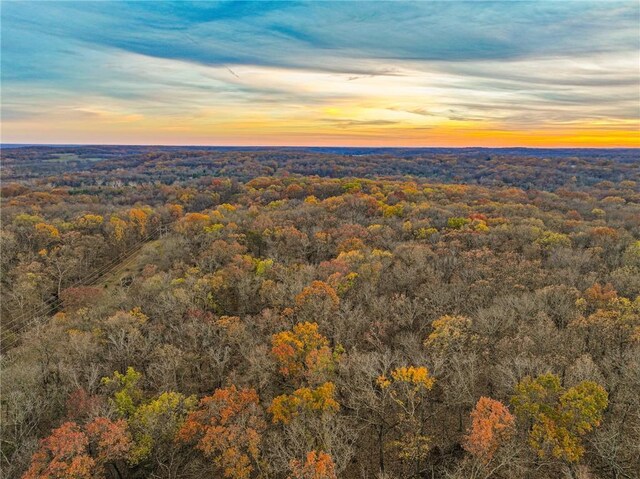 9535 NE 681st Rd, Lowry City, MO 64763 - photo 48