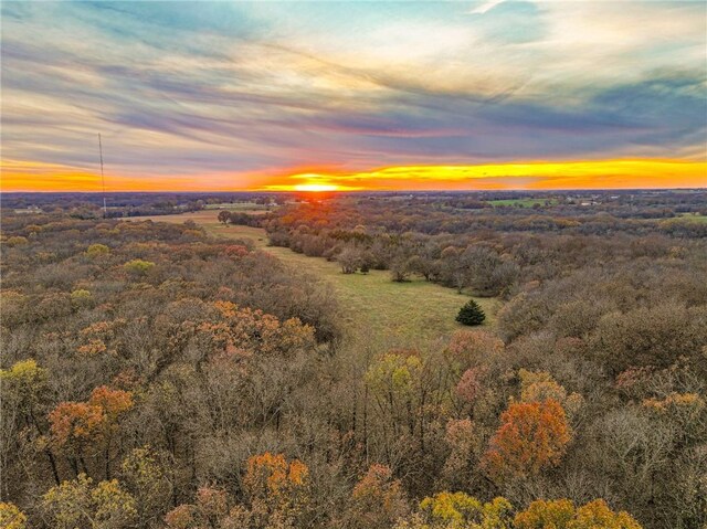 9535 NE 681st Rd, Lowry City, MO 64763 - photo 49