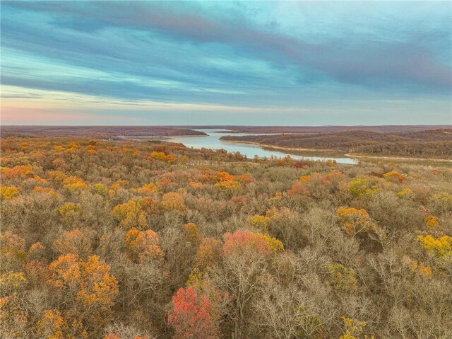 9535 NE 681st Rd, Lowry City, MO 64763 - photo 50