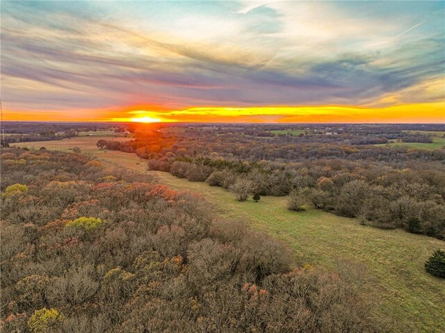 9535 NE 681st Rd, Lowry City, MO 64763 - photo 51