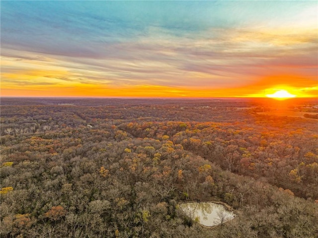 9535 NE 681st Rd, Lowry City, MO 64763 - photo 52