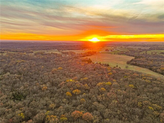 9535 NE 681st Rd, Lowry City, MO 64763 - photo 55
