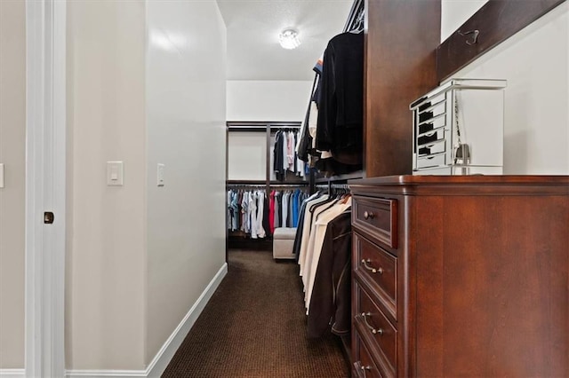 17005 Bradshaw St, Overland Park, KS 66221 - spacious closet with dark carpet