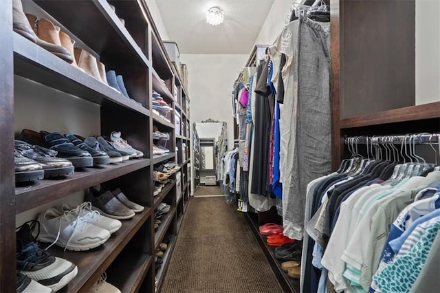 17005 Bradshaw St, Overland Park, KS 66221 - walk in closet with carpet