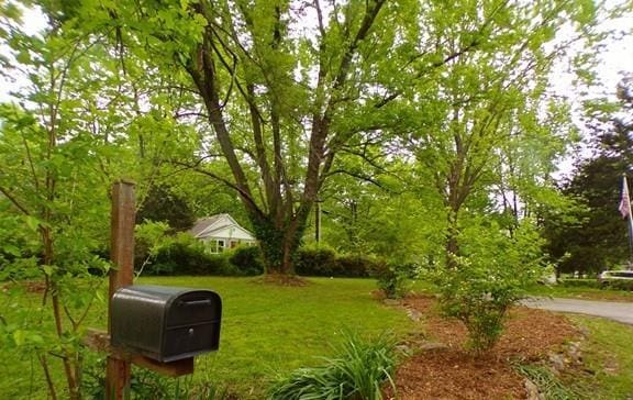 view of home's community featuring a yard