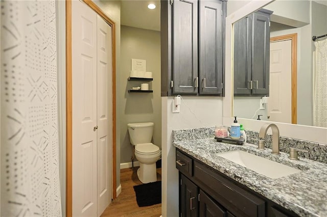 211 Carla St, Excelsior Springs, MO 64024 - bathroom with a closet, vanity, toilet, wood finished floors, and recessed lighting