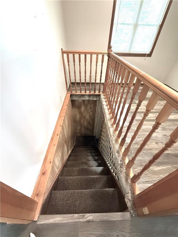 staircase featuring wood finished floors