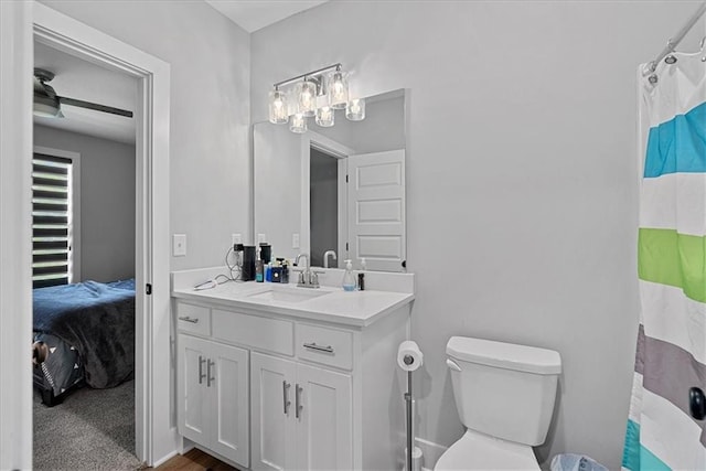 22622 W 87th Ter, Lenexa, KS 66227 - full bathroom featuring vanity, toilet, and a shower with shower curtain