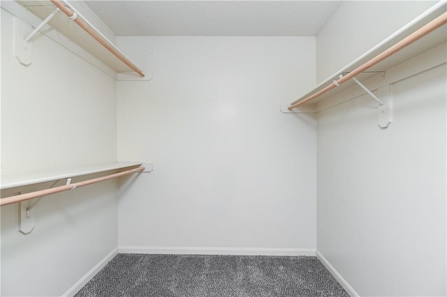 walk in closet with carpet