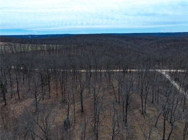 bird's eye view with a forest view