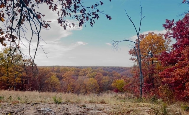 view of landscape featuring a forest view