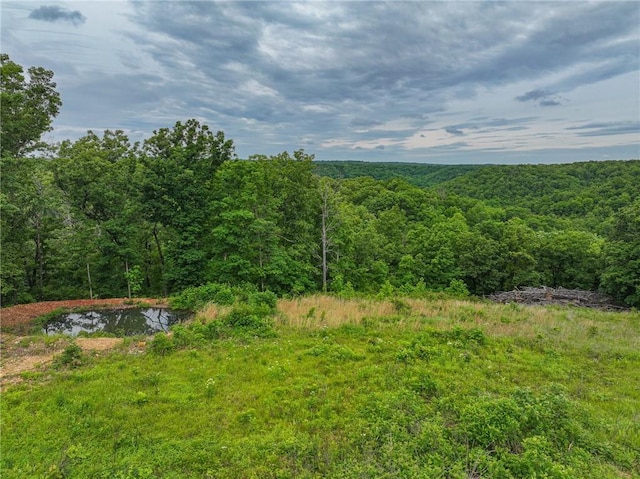3813 Mt Horeb Rd, Camdenton, MO 65020 - view of yard featuring a view of trees