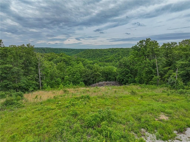 3813 Mt Horeb Rd, Camdenton, MO 65020 - view of mountain background with a forest