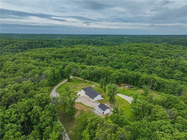 3813 Mt Horeb Rd, Camdenton, MO 65020 - bird's eye view of a forest